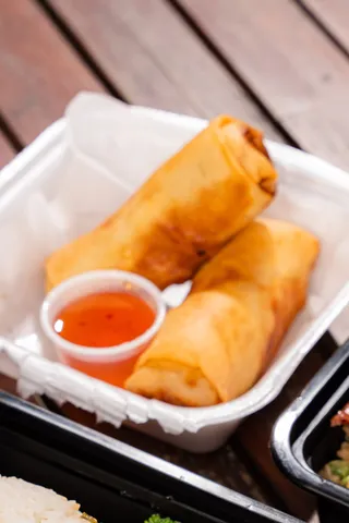 Fried Vegetable Spring Rolls (2)